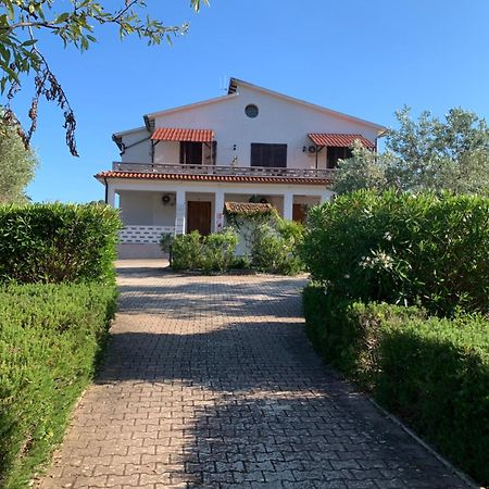Villa Conti Residence Lacona Exterior foto